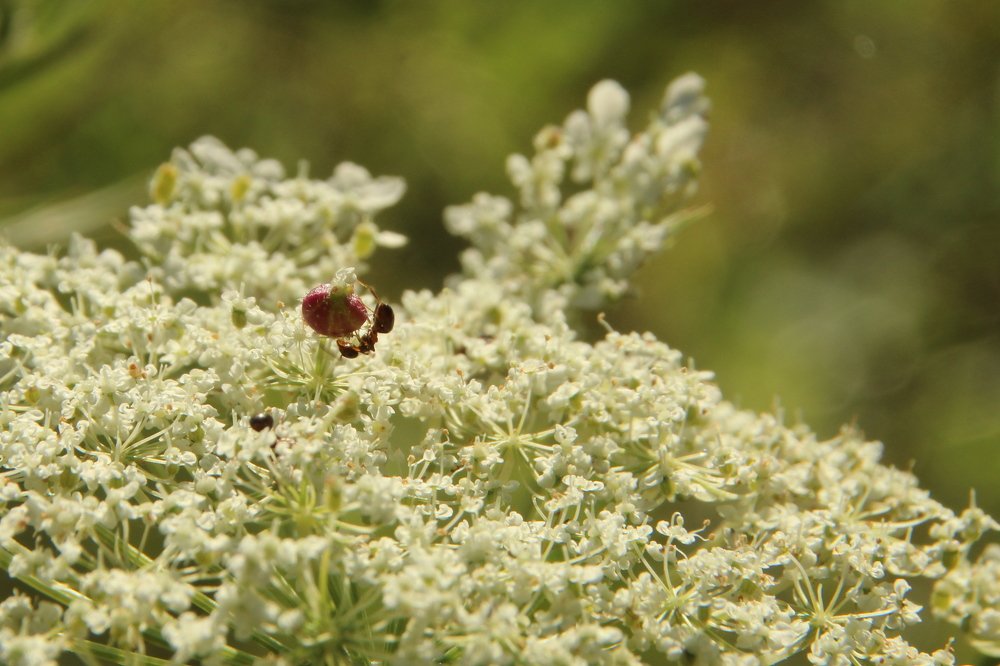 Photograph by Илья Беликов