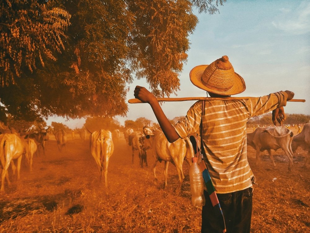 Photograph by Omotayo Tajudeen