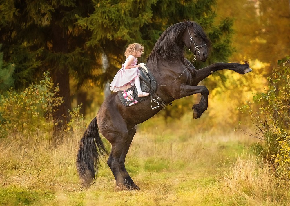 Photograph by Елена Ивонина