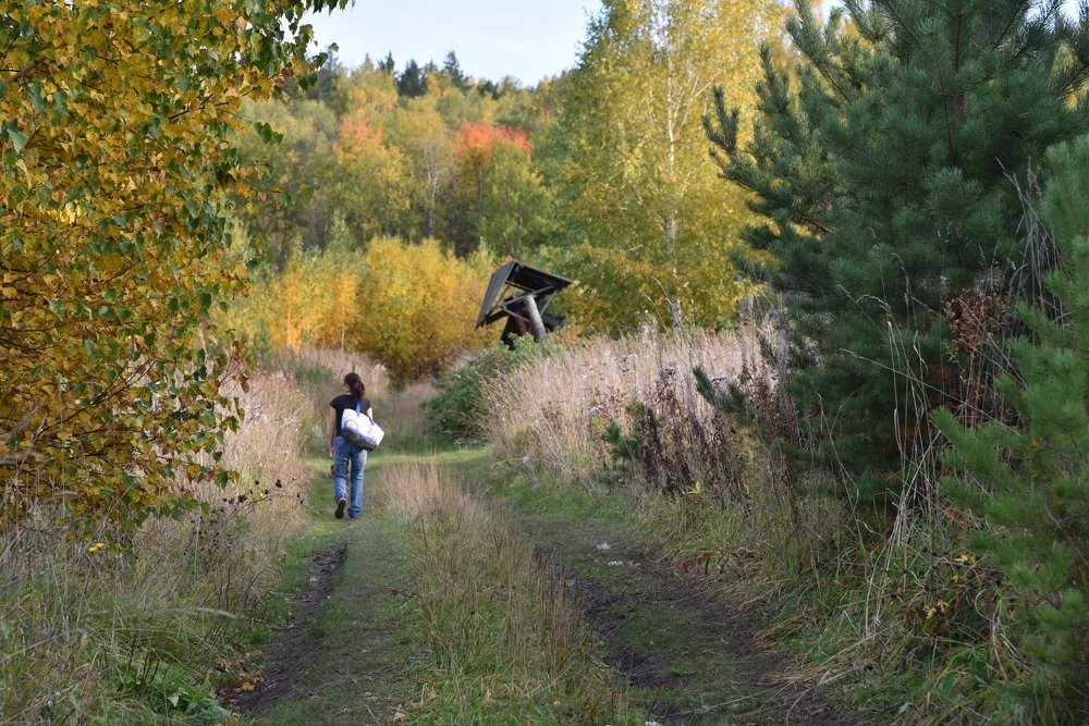Photograph by Людмила Воропаева