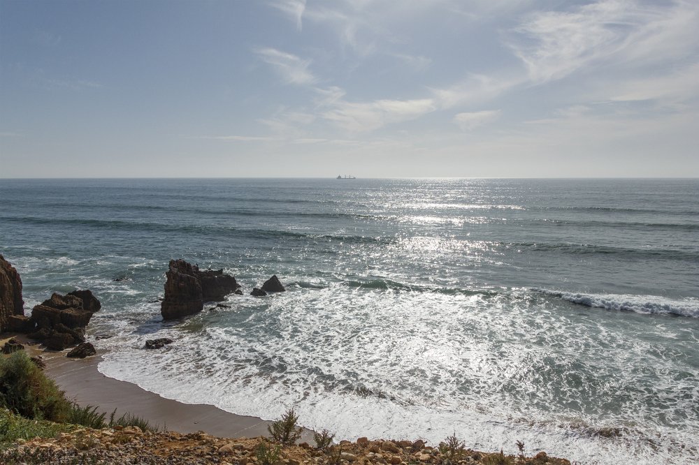 Photograph by Светлана Саиди