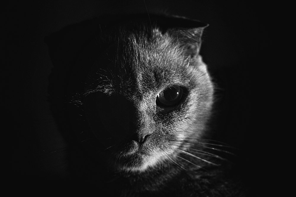 Photograph by Олеся Жигалова