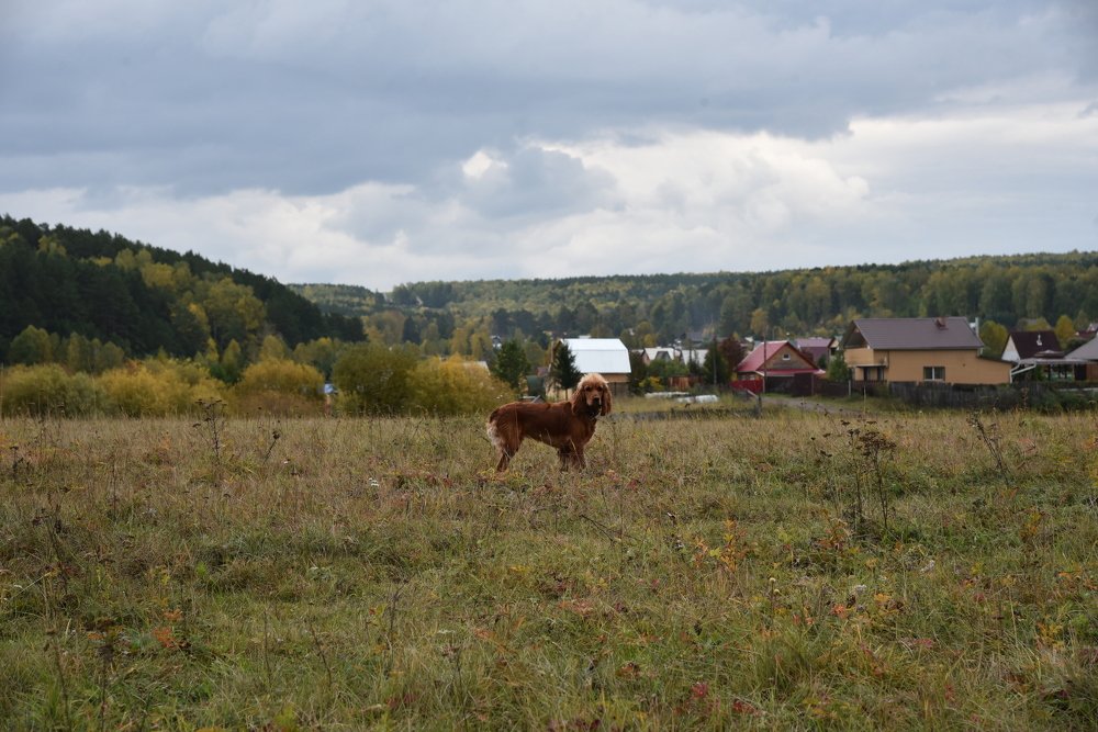 Photograph by Людмила Воропаева