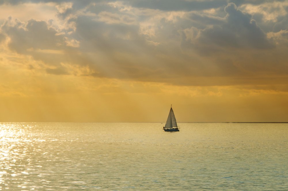 Photograph by Светлана Саиди