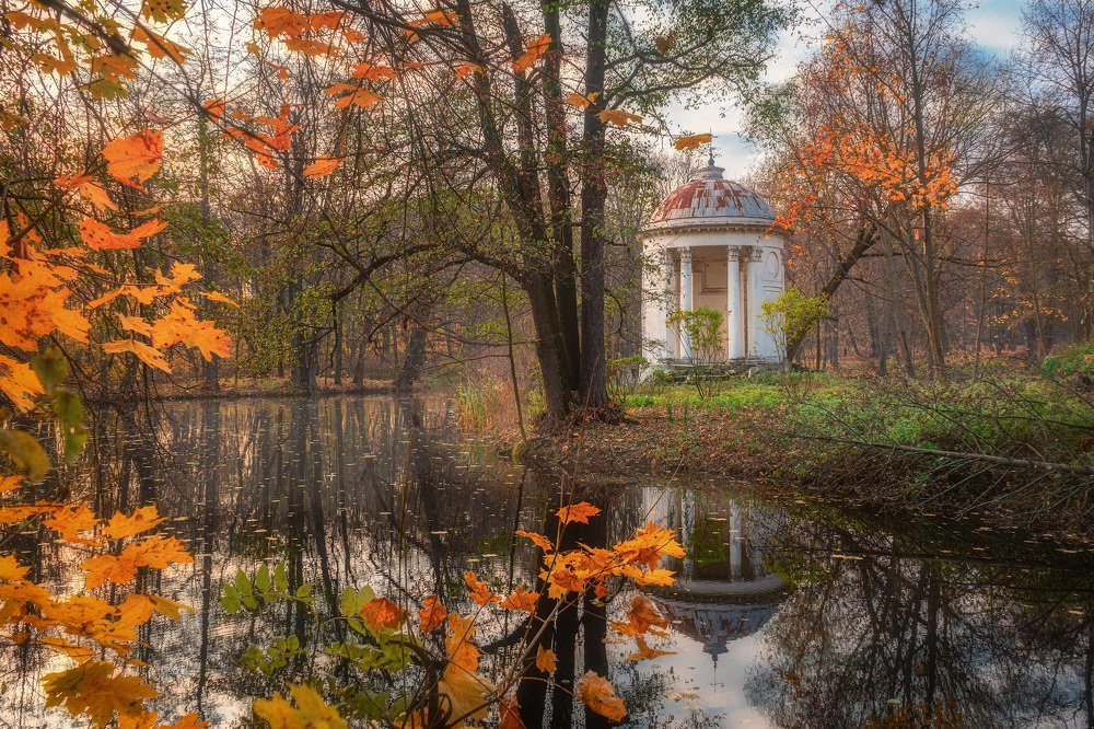 Photograph by Алена Устинович