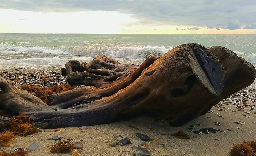 Photograph by Светлана Терехова