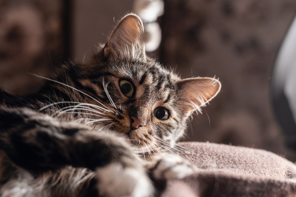 Photograph by Олеся Колитченко