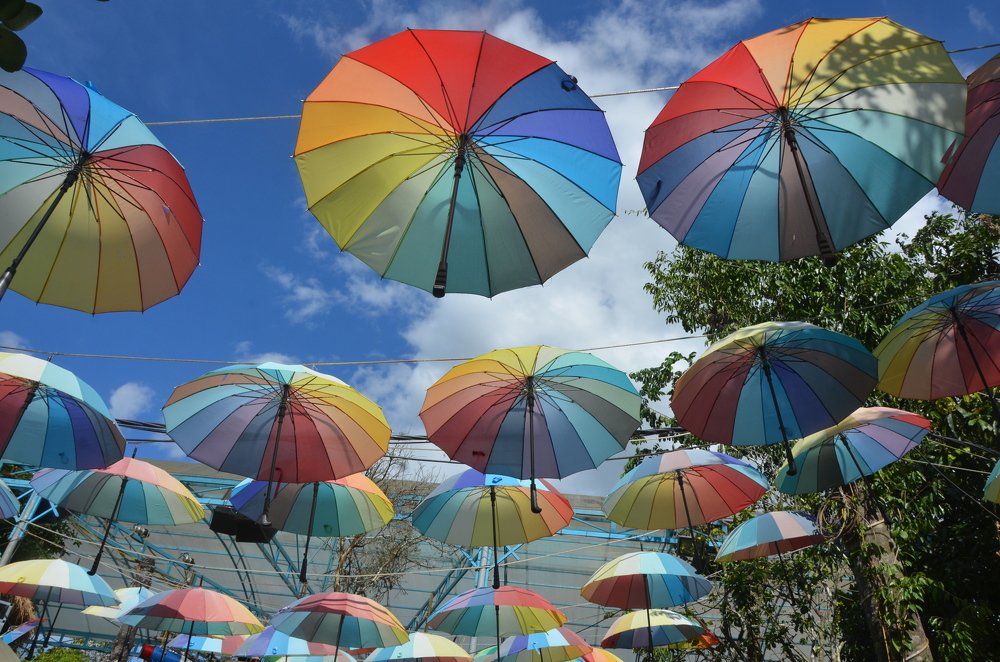 Photograph by Людмила Воропаева