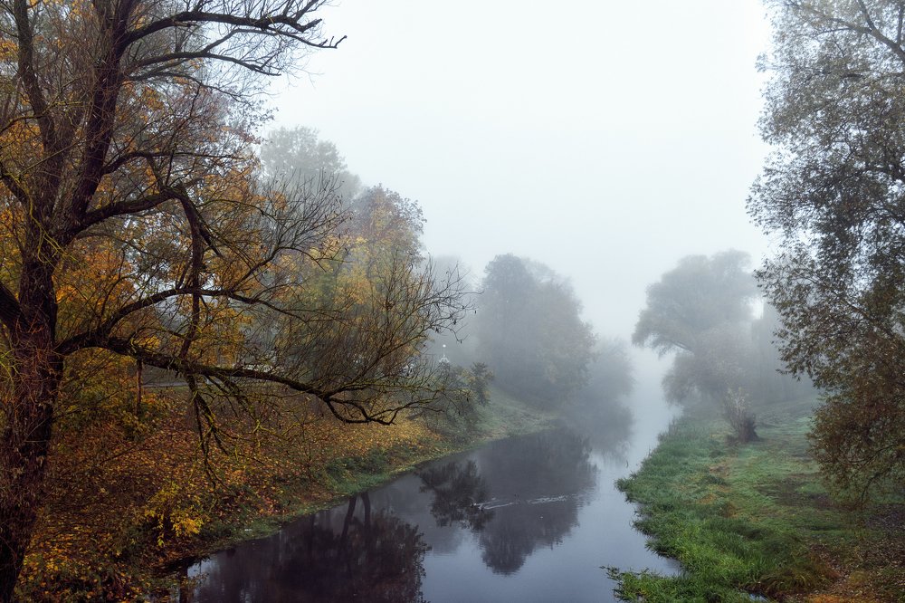 Photograph by Елена Стещенко