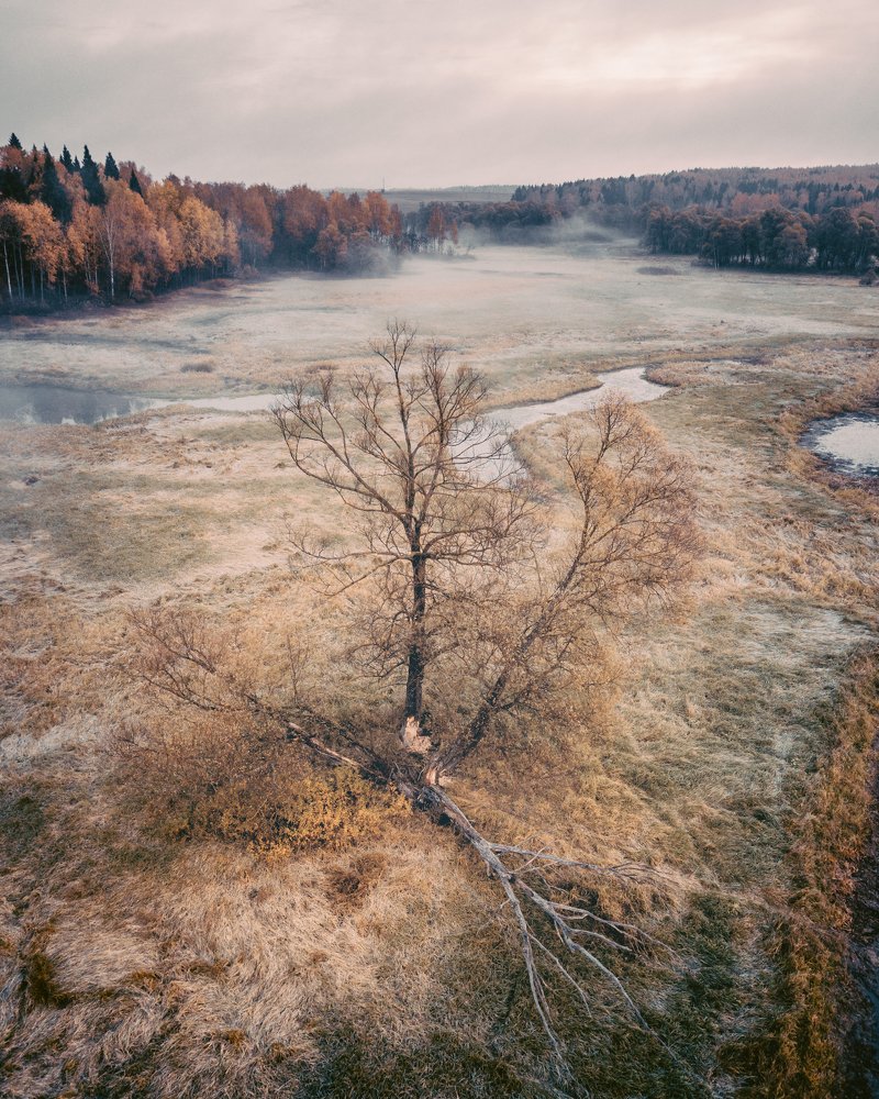Photo #5182793