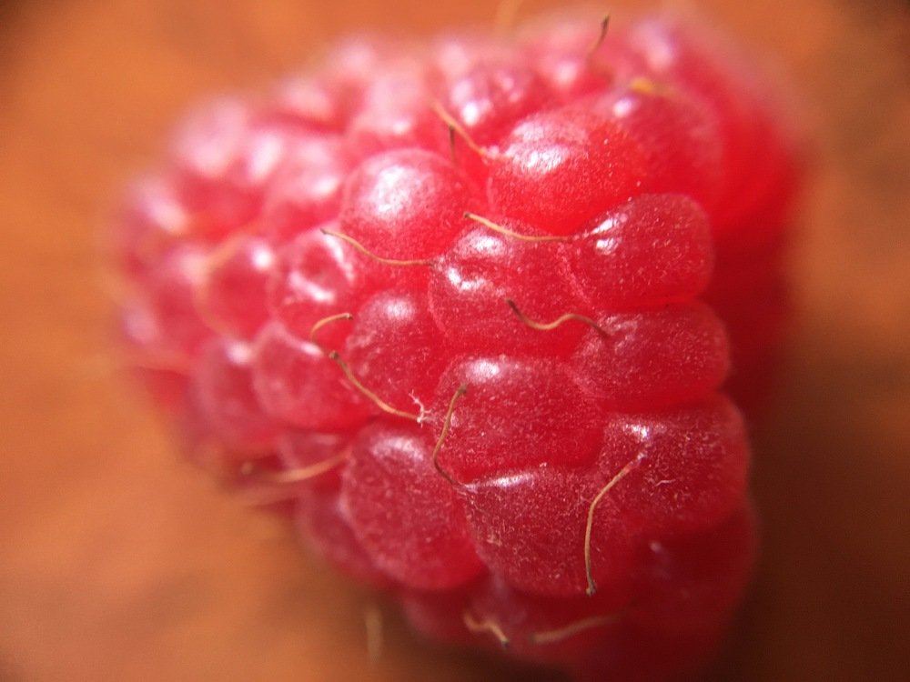 Raspberry