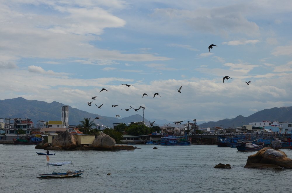 Photograph by Людмила Воропаева