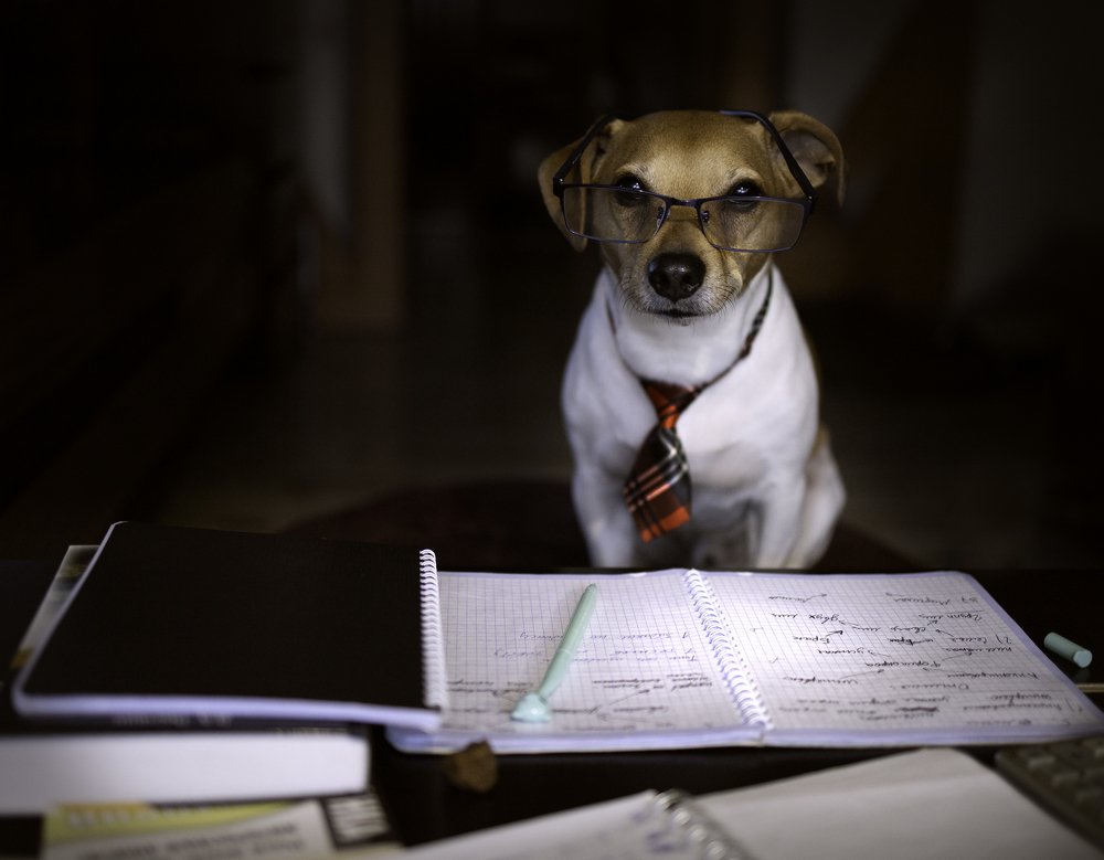 На удаленке