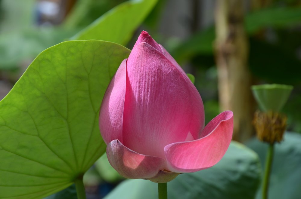 Photograph by Людмила Воропаева