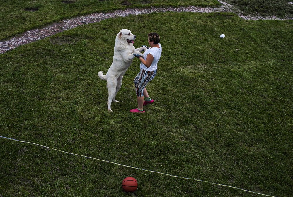 Photograph by Житецкий Игорь