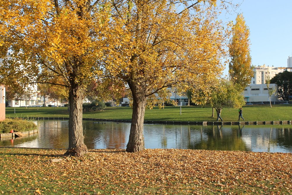 Photograph by Francisco Ferreira