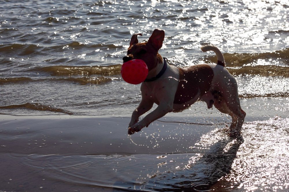 Photograph by Анна Финк