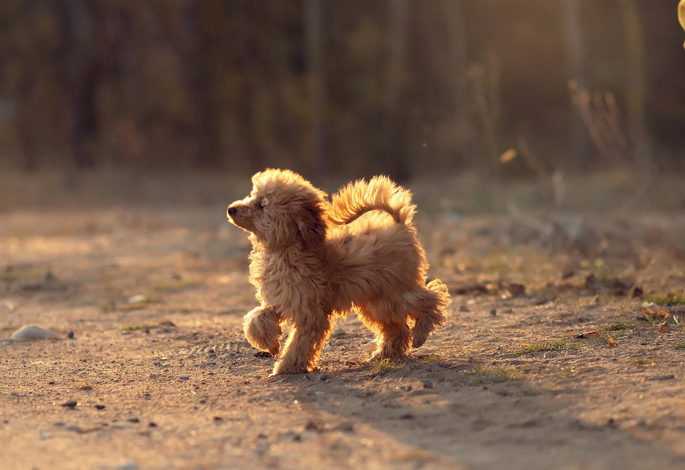 Photograph by Надья Васильчук