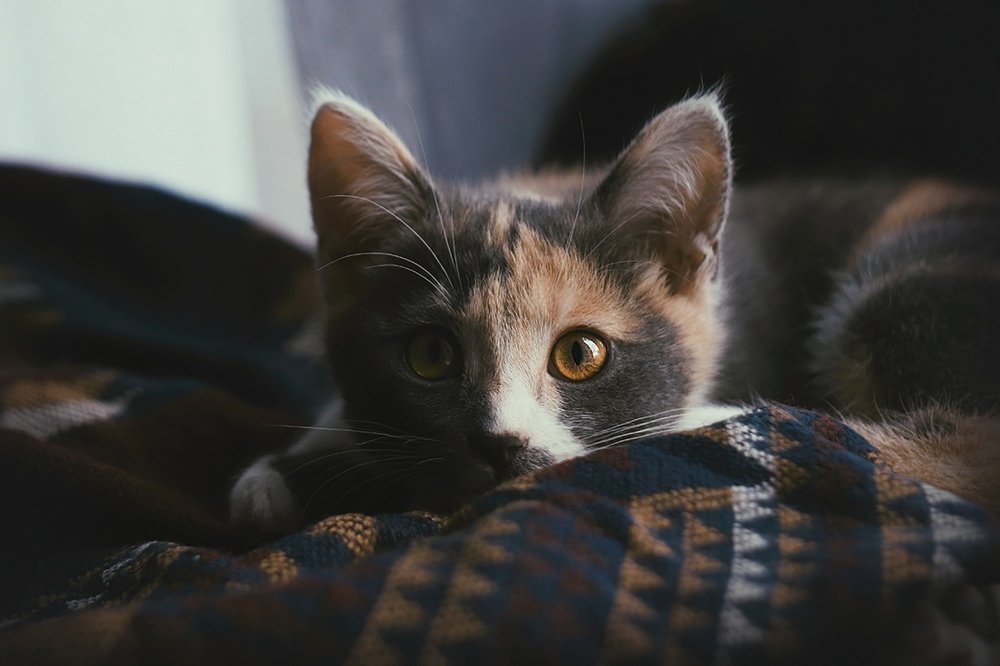 Photograph by Фролова Евгения