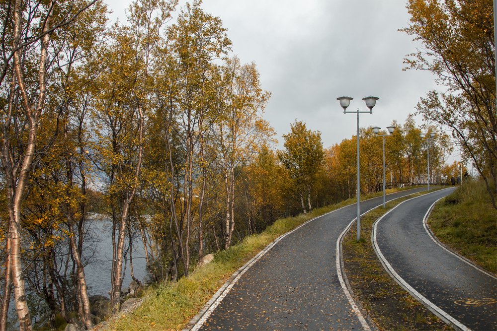 Photograph by Светлана Саиди