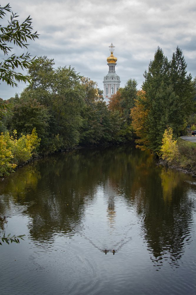 Photograph by Светлана Саиди