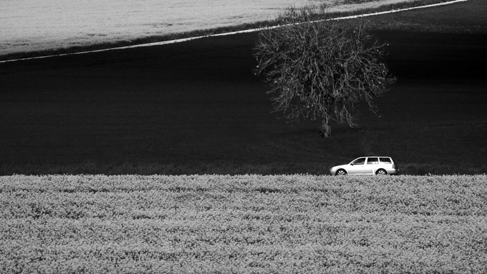 Черно-белая Весна.