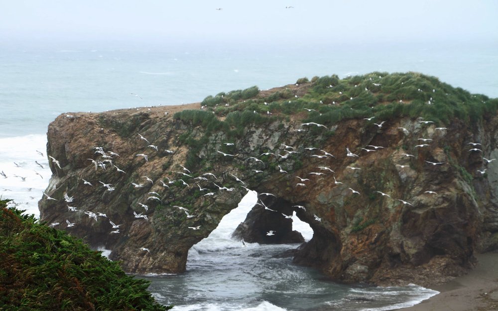 Photograph by Оля Маркова