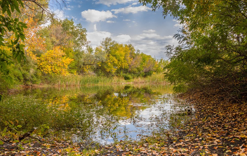 Photograph by Екатерина Маркова