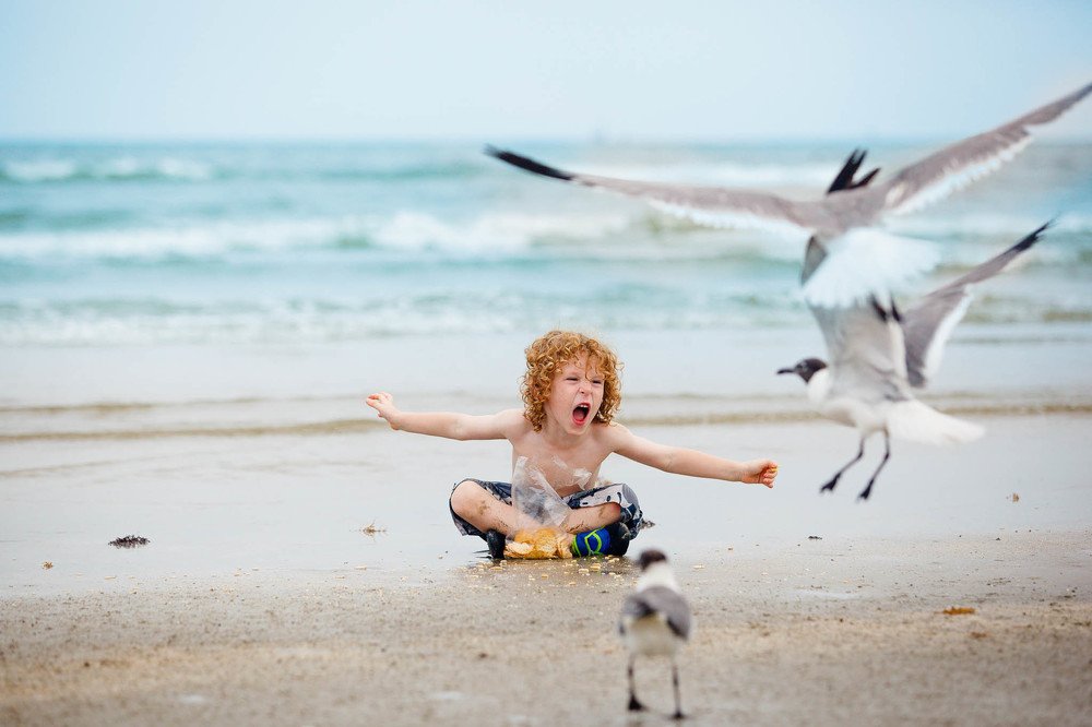 Photograph by Amalya Shandelman