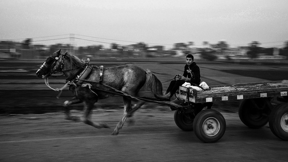 Photograph by  Shady