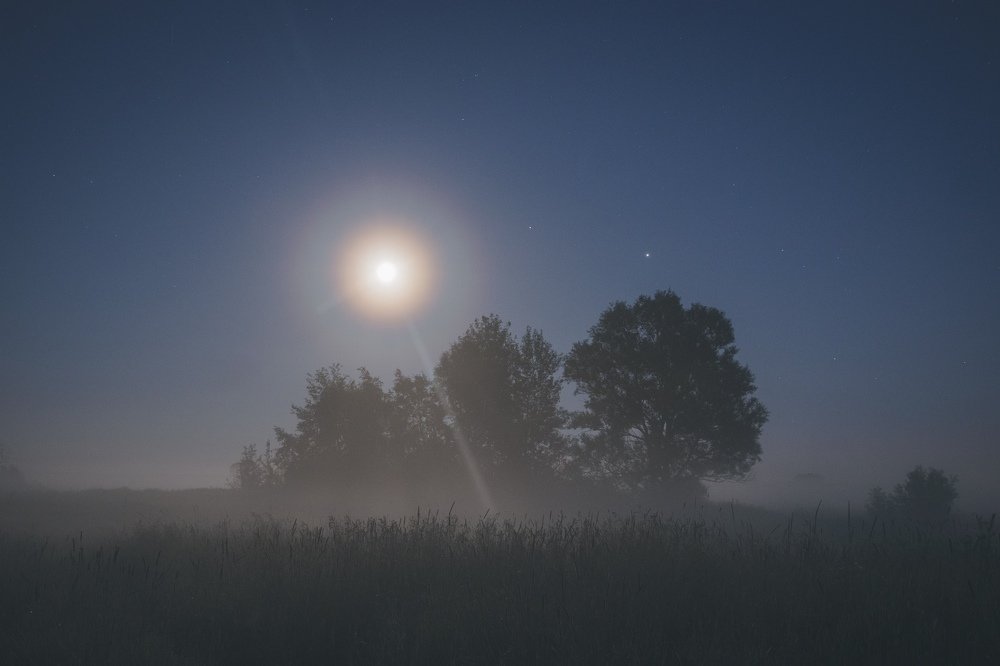 Photograph by Владислав Монахов