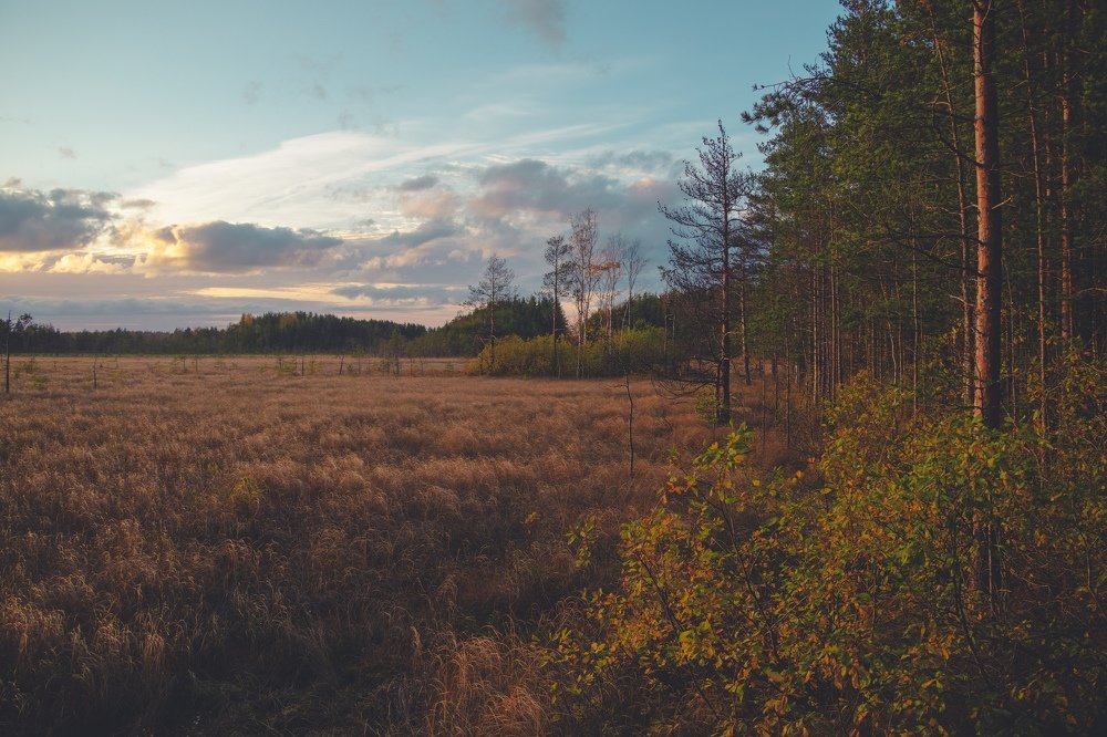 Photograph by Владислав Монахов
