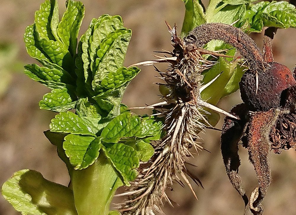 Прошлое и будущее
