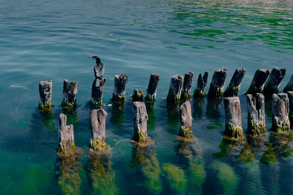 Photograph by Руслан Кабиров