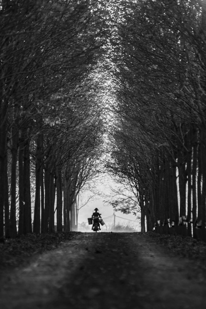 Photograph by Hợp Lò