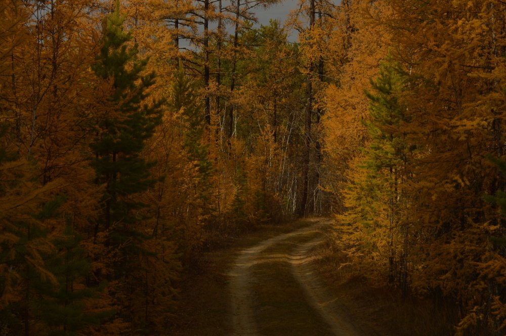 Photograph by Наталья Мордовская