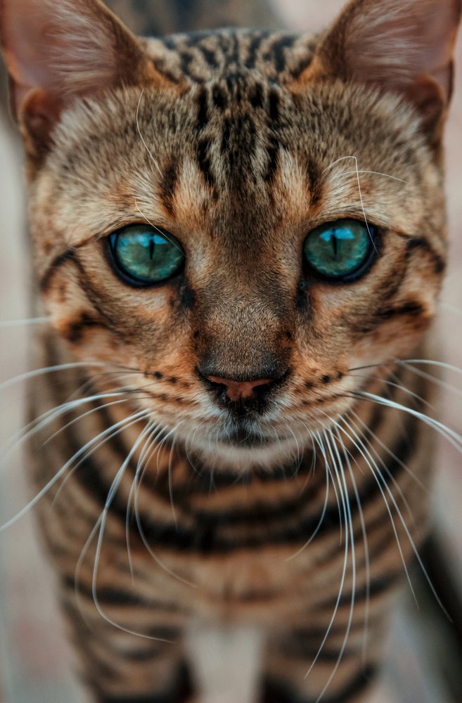 Photograph by Александр Гамалеев