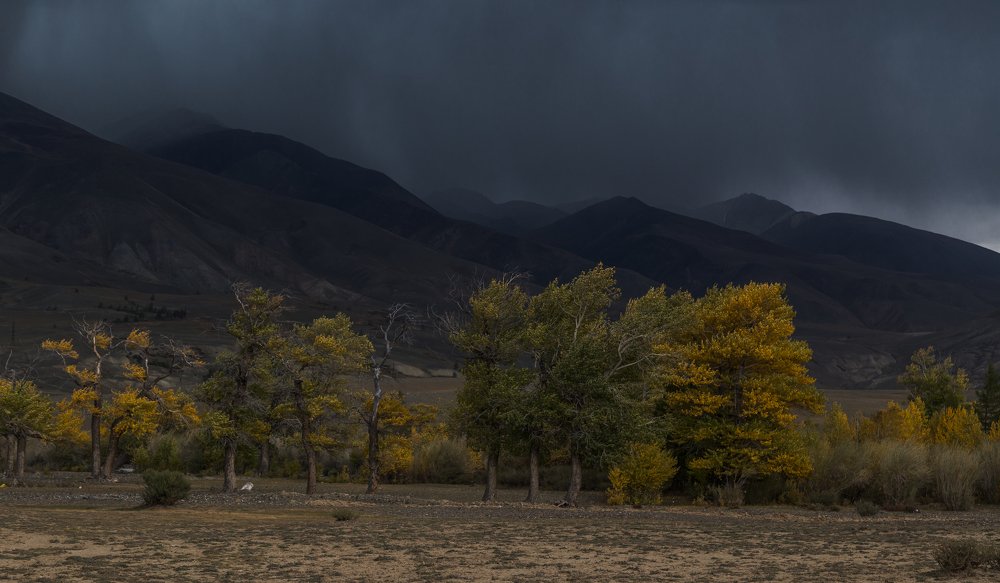 Начало грозы