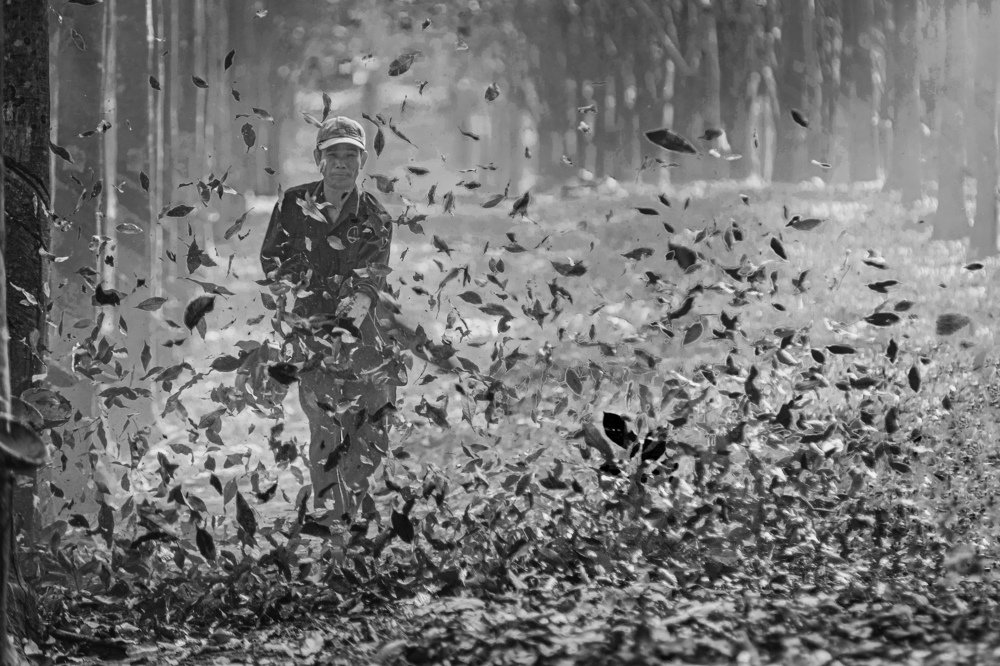 Photograph by Hợp Lò