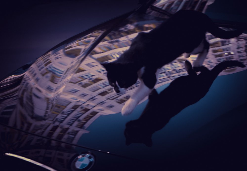 Photograph by victoria chaikova