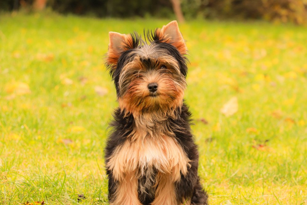 Photograph by Jelena Dzene