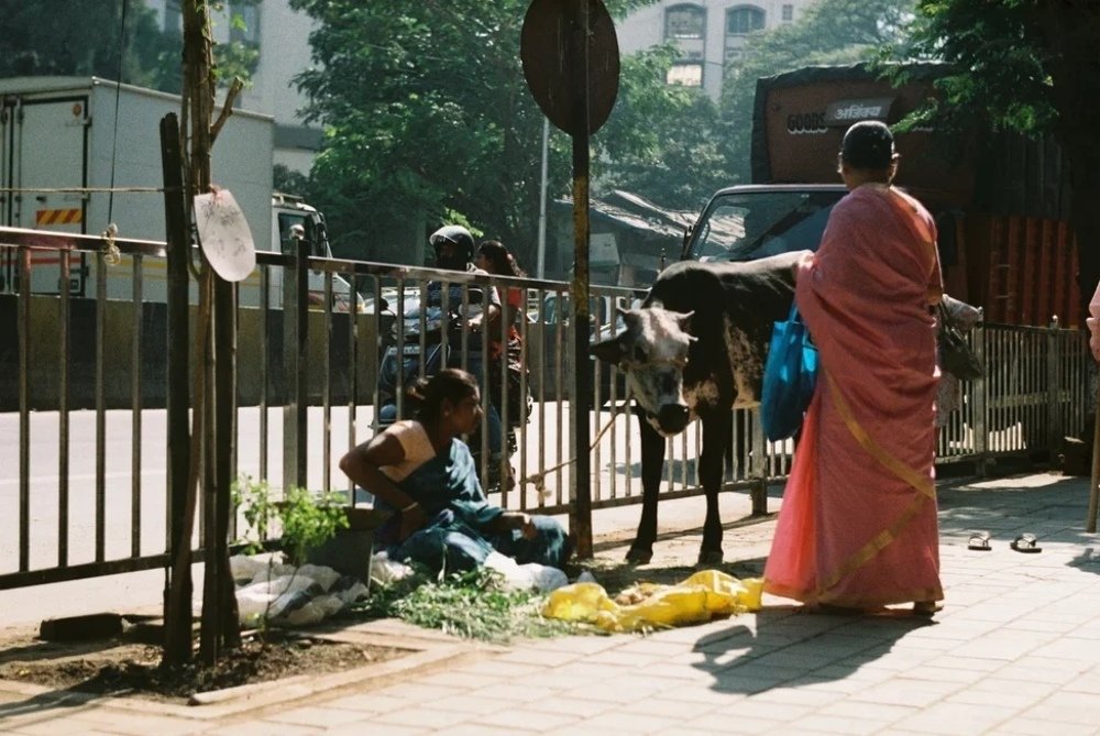 Photograph by Pavel Demidovich
