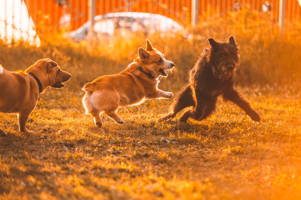 Photograph by Дмитрий Абрамов