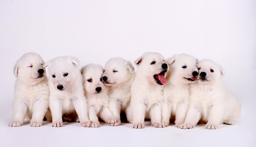 Фотография автора Ricardo Q T Rodrigues