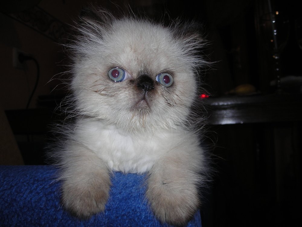 Детство Бонифация