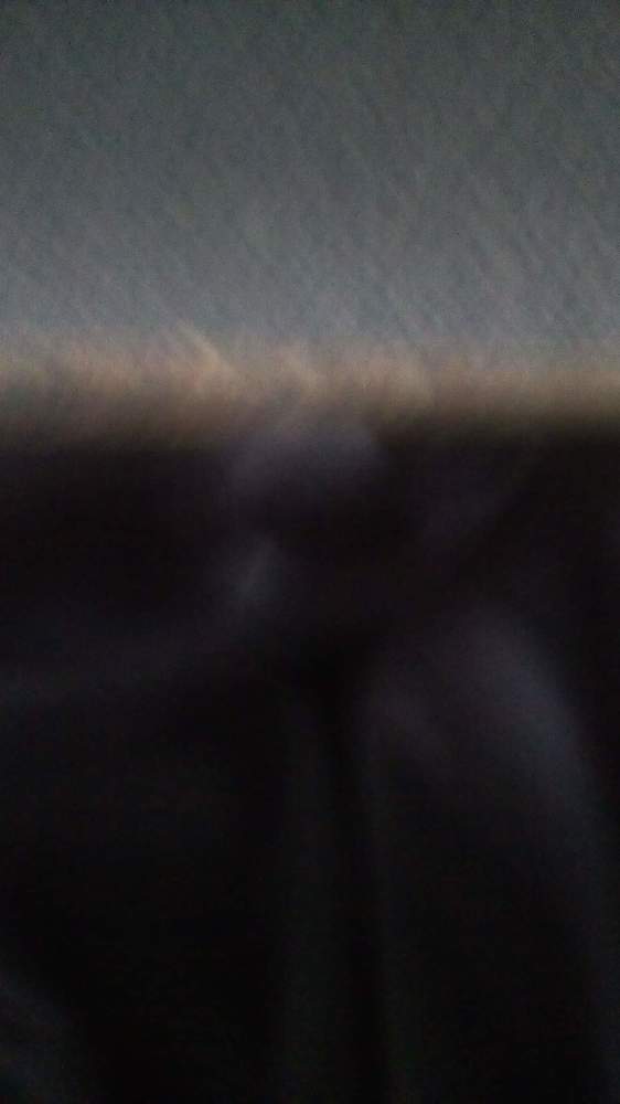 Photograph by Nikolozi Berishvili