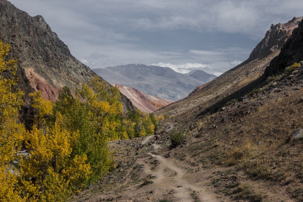 Photograph by Алексей