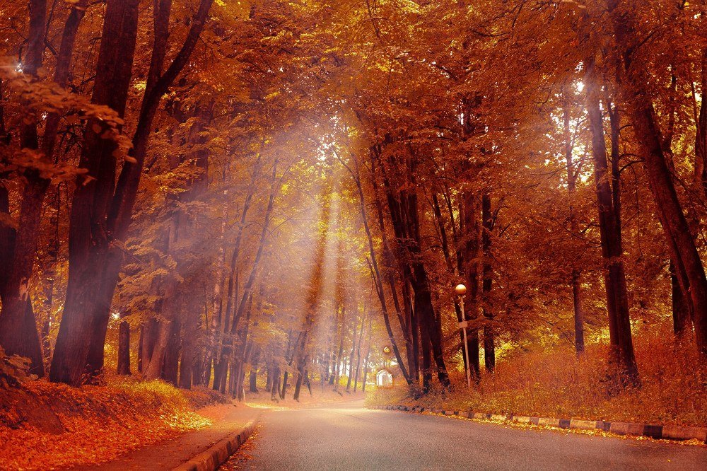 Photograph by victoria chaikova