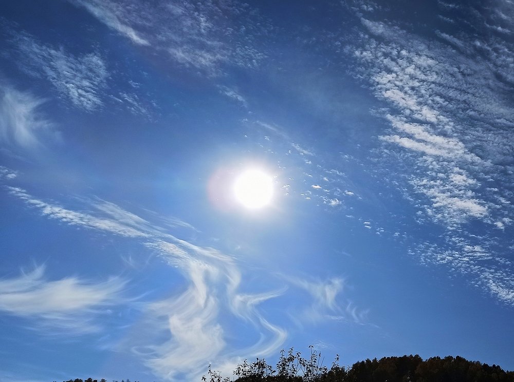 Фотография автора Александр Осинцев