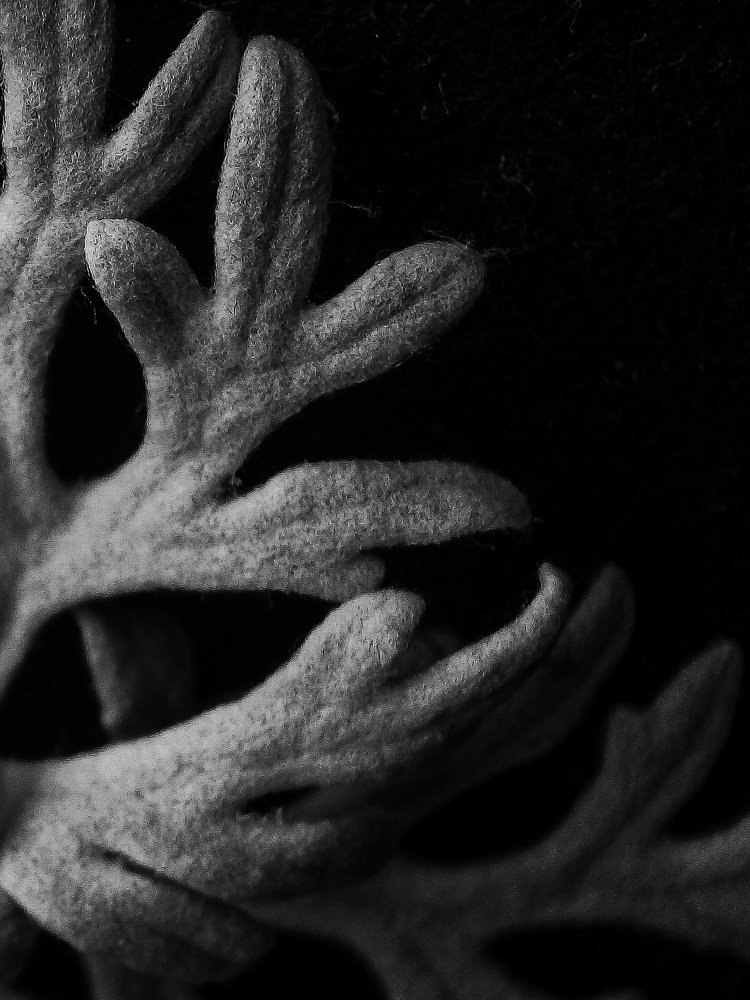 Photograph by Диана Кошелева